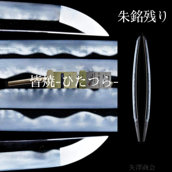 k240407　価格問い合わせ　刀　朱銘残り　皆焼身幅三十三ミリ超え豪刀　二尺二寸九分 協会鑑定は兼門（古刀　室町末期頃　戦国時代）保存会鑑定は会津兼定